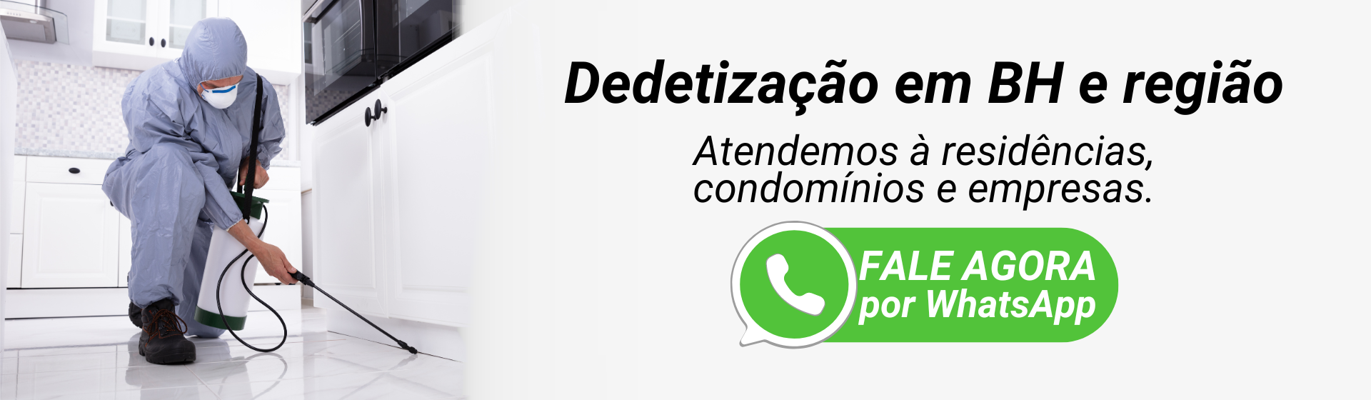Banner Dedetização